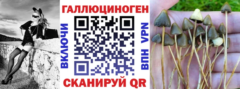 Псилоцибиновые грибы Magic Shrooms  Купить где  Еманжелинск 